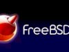 FreeBSD PKG MySQL 5.5 Kurulumu