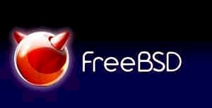 FreeBSD 12.1 Kurulumu