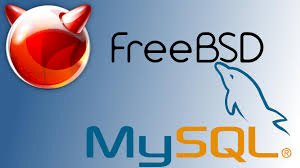 Freebsd 13 mysql 5.6 kurulumu